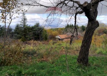 Vista delle montagne - Terreno agricolo Contrada Calabrese
 
snc, Adrano - foto 5