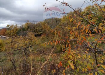 Vista delle montagne - Terreno agricolo Contrada Calabrese
 
snc, Adrano - foto 7