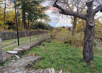 Giardino - Terreno agricolo Contrada Calabrese
 
snc, Adrano - foto 9