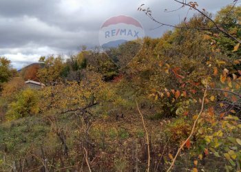 Vista delle montagne - Terreno agricolo Contrada Calabrese
 
snc, Adrano - foto 11