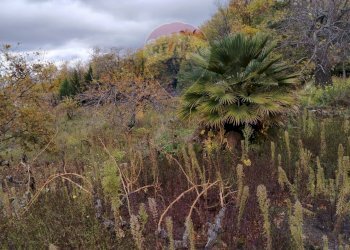 Vista delle montagne - Terreno agricolo Contrada Calabrese
 
snc, Adrano - foto 12