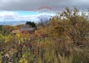 Vista delle montagne - Terreno agricolo Contrada Calabrese
 
snc, Adrano - foto 13
