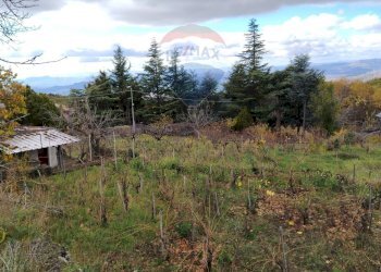 Giardino - Terreno agricolo Contrada Calabrese
 
snc, Adrano - foto 18