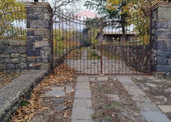 Giardino - Terreno agricolo Contrada Calabrese
 
snc, Adrano - foto 19