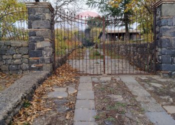 Giardino - Terreno agricolo Contrada Calabrese
 
snc, Adrano - foto 21