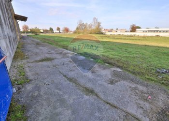 Giardino - Capannone Via Fermi, Cilavegna - foto 15