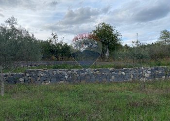 Giardino - Agricultural land contrada scatolino
snc, Francavilla di Sicilia - photo 4