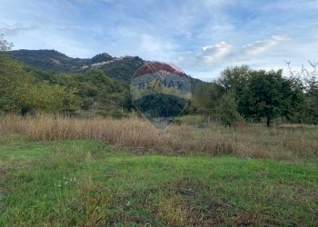 Vista delle montagne - Agricultural land contrada scatolino
snc, Francavilla di Sicilia - photo 10