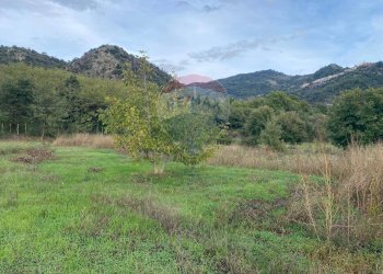 Vista delle montagne - Agricultural land contrada scatolino
snc, Francavilla di Sicilia - photo 13