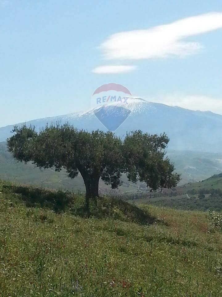 Vista delle montagne - Apartment Contrada Carchiola
 
snc, Troina - photo 1