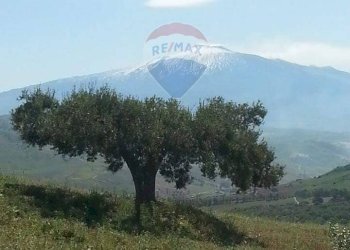 Vista delle montagne - Appartamento Contrada Carchiola
 
snc, Troina - foto 1