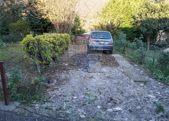 Giardino - Casa semi indipendente Via al Lago
 
83, Ranzanico - foto 20