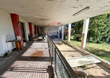 Terrazza - Casa indipendente Gaverina Terme - foto 24