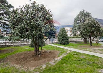 Giardino - Quadrilocale via Cesare Pavese
 
3, Sangano - foto 4