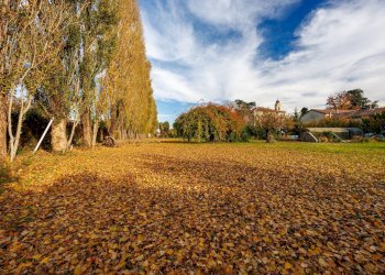 Foto 57 - Appartamento Via Della Liberta'
 
3, Alessandria - foto 57