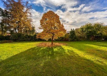 Foto 19 - Appartamento Via Della Liberta'
 
4, Alessandria - foto 19