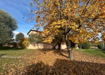 Foto 10 - Villa via goito
 
2, Coniolo - foto 10