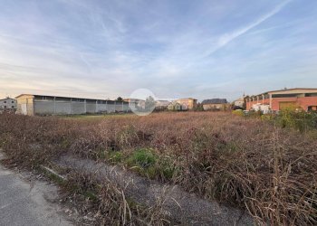 Foto 3 - Terreno agricolo Via Vedetto, Pralboino - foto 3