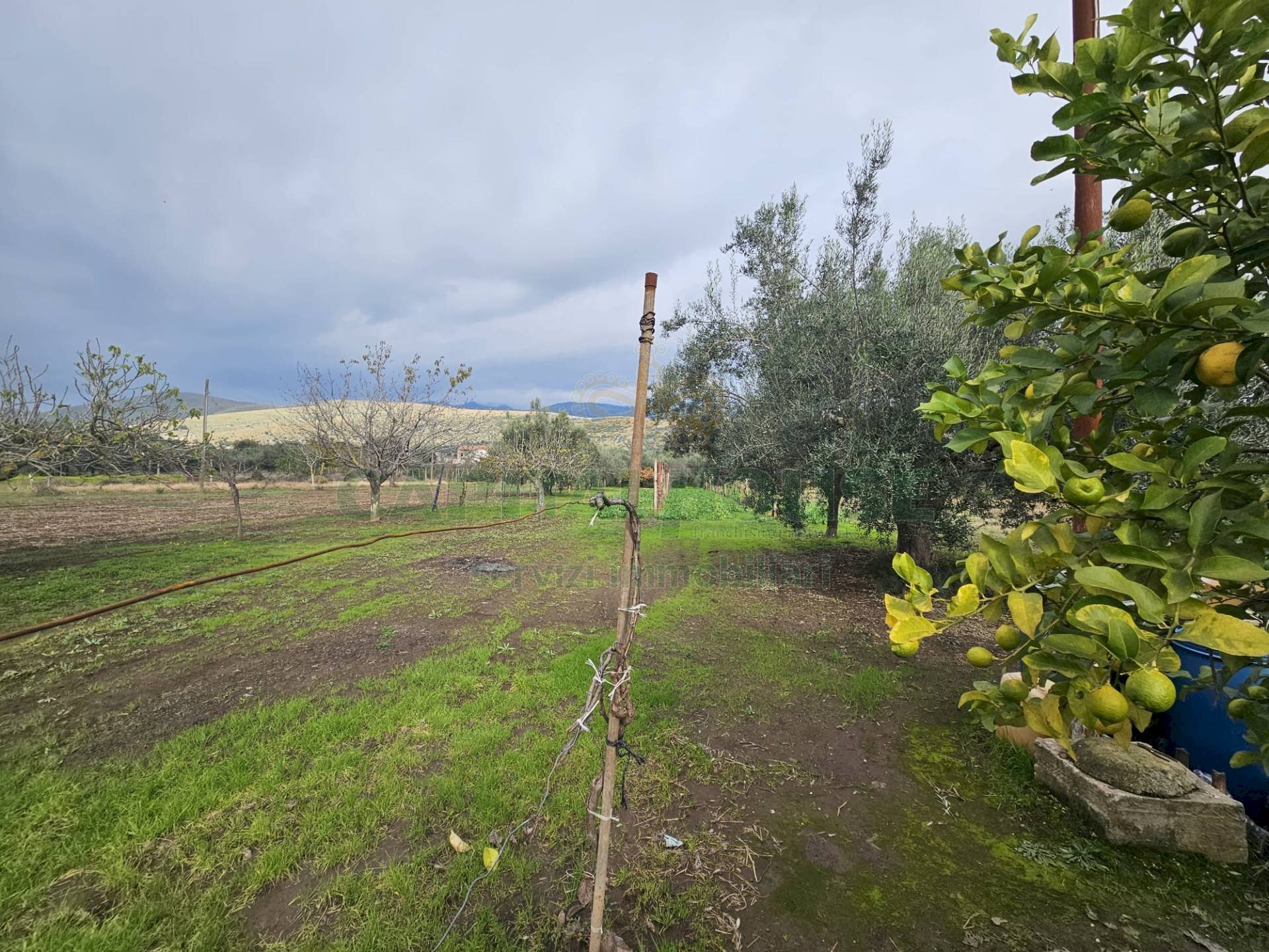 Foto 3 - Agricultural land via latina, Pastorano - photo 3