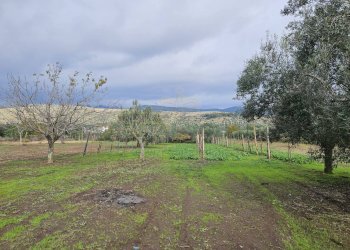 Foto 3 - Terreno agricolo via latina, Pastorano - foto 3