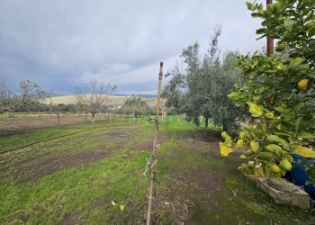 Foto 4 - Terreno agricolo via latina, Pastorano - foto 4