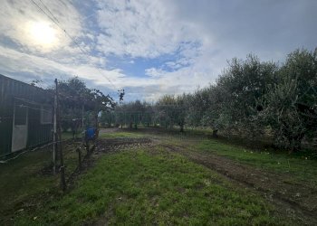 Foto 6 - Terreno agricolo via latina, Pastorano - foto 6