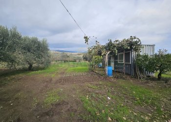 Foto 7 - Terreno agricolo via latina, Pastorano - foto 7