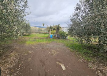 Foto 8 - Terreno agricolo via latina, Pastorano - foto 8