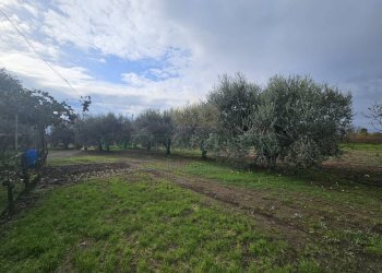 Foto 9 - Terreno agricolo via latina, Pastorano - foto 9