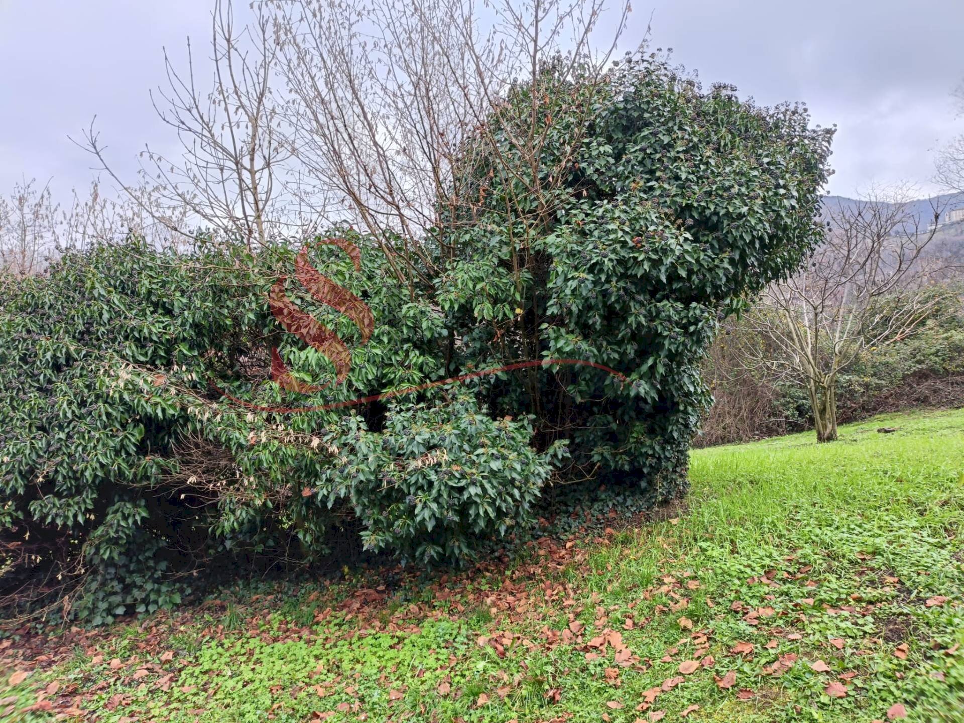 Foto 3 - Terreno edificabile Via San Vincenzo, Pradalunga - foto 3