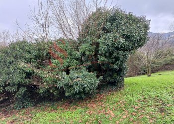 Foto 3 - Terreno edificabile Via San Vincenzo, Pradalunga - foto 3