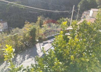 Giardino - Quadrilocale via Franzoni
 
25, Monreale - foto 4