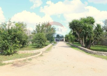 Giardino - Villa Tuglie - foto 57