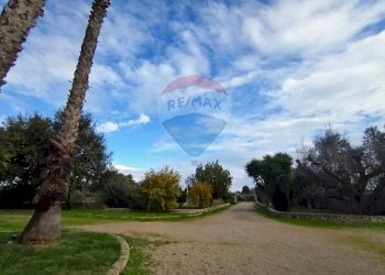 Giardino - Villa Tuglie - foto 58