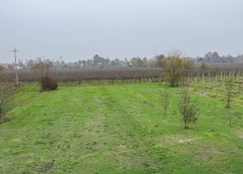 Foto 14 - Casa indipendente VIA ROMA
 
475, Fontanelle - foto 14