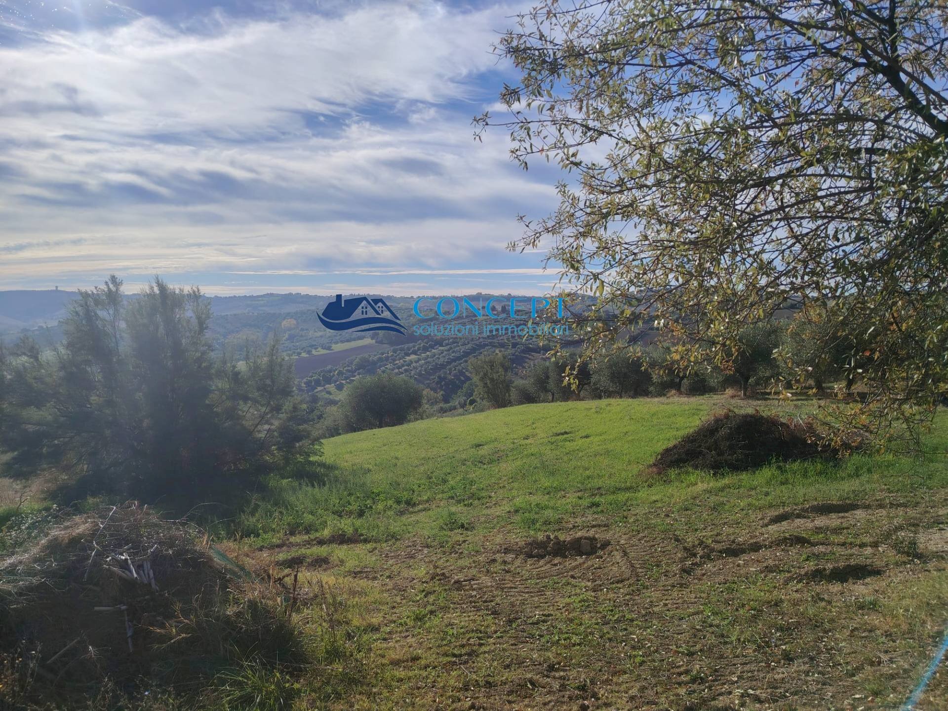 Foto 3 - Agriturismo via dei morelli
 
snc, Sant'Omero - foto 3