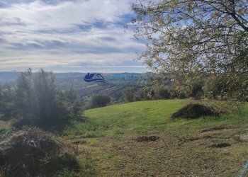 Foto 3 - Agriturismo via dei morelli
 
snc, Sant'Omero - foto 3