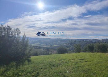 Foto 4 - Agriturismo via dei morelli
 
snc, Sant'Omero - foto 4