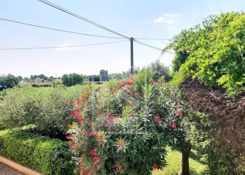 Foto 29 - Semi-detached house Strada Salionze, Monzambano - photo 29