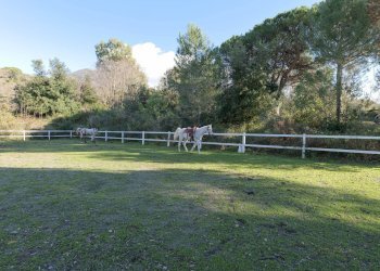 Foto 36 - Stabile - Palazzo Via Vesuvio
 
71, Ercolano - foto 36