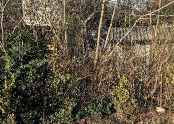 Rustico Stradello Romano, Modena - foto 4