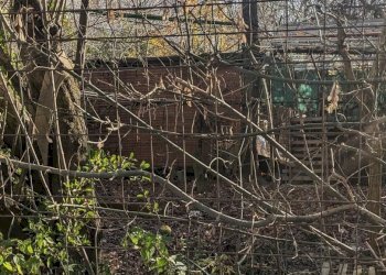 Rustico Stradello Romano, Modena - foto 6