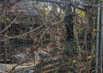 Rustico Stradello Romano, Modena - foto 8