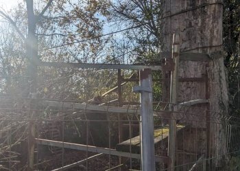 Rustico Stradello Romano, Modena - foto 10