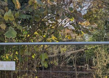 Rustico Stradello Romano, Modena - foto 11