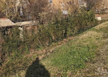 Rustico Stradello Romano, Modena - foto 12