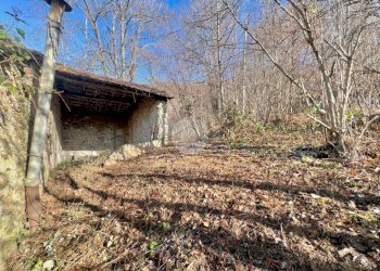 Rustico Via colle olla, Coassolo Torinese - foto 22