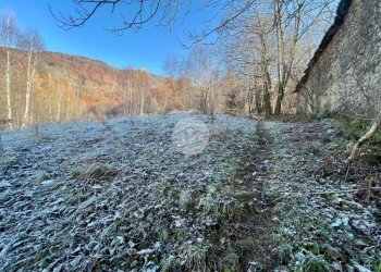 Rustico Via colle olla, Coassolo Torinese - foto 24