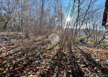 Rustico Via colle olla, Coassolo Torinese - foto 25