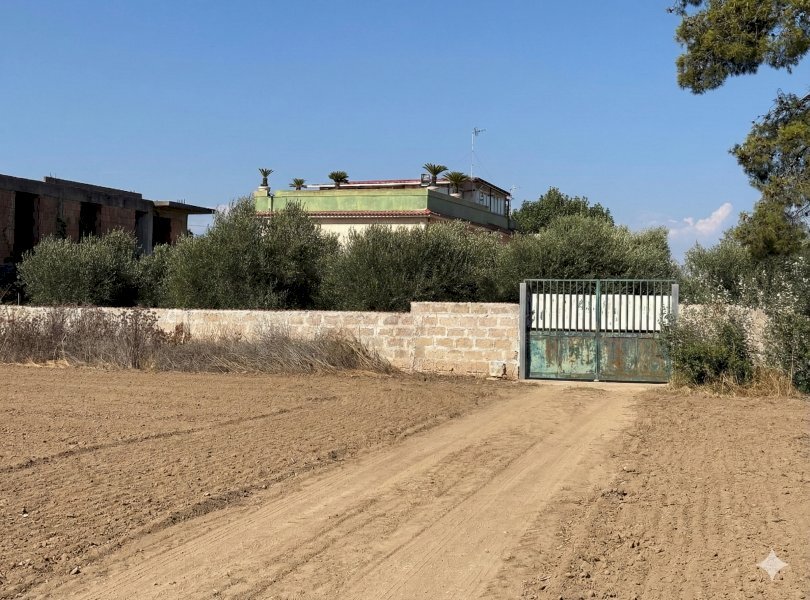 Terreno agricolo Mondragone - foto 1